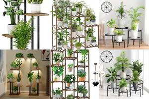 5 Best Plant Stands for Your Home