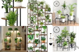 Plant Stands