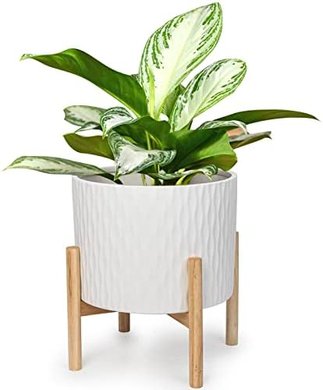 LaDoVita White Ceramic Planter with Wood Stand