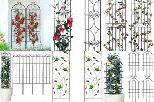 5 Stunning Metal Garden Trellises for Your Outdoor Oasis