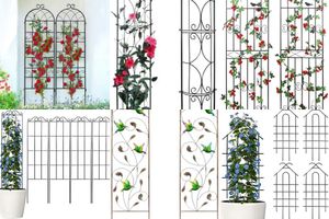 Metal Garden Trellises