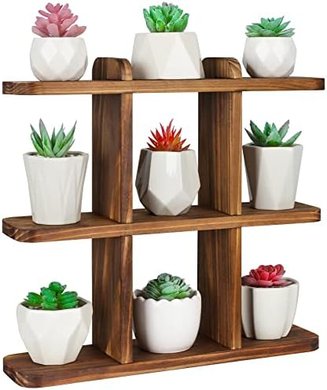 Ufine Carbonized Wood Succulent Plant Stand