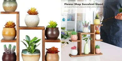 7-Tier Wooden Plant Stand for Windowsill & Desktops