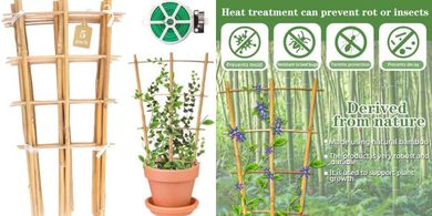 Bamboo Garden Trellis (5-pack, 16", fan-shaped)
