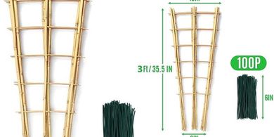 SWANGSA Bamboo Trellis: 6 Pack, 3ft & 35.5" Fan Shapes, 100 Ties
