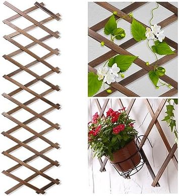 Expandable Wooden Lattice Fence Panel for Climbing Plants
