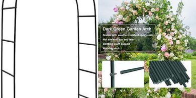 Steel Garden Arch: Climbing Plant Trellis (7