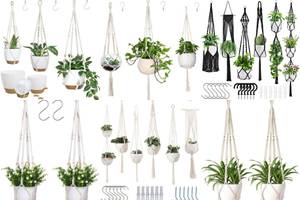 5 Best Plant Hangers for Your Home