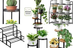 5 Stunning 3-Tier Plant Stands for Your Home