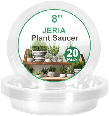 Jeria 8" Clear Plant Saucers (20-pack)