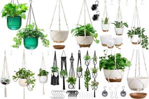 Top 5 Hanging Planters for Your Home