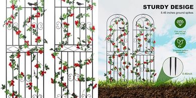 Black Metal Garden Trellis (2-Pack, 70.8"H x 19.7"W) for Climbing Plants
