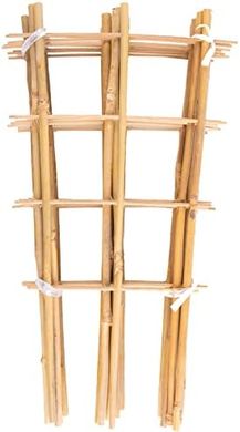 Bamboo Trellis Plant Support: 10-Pack, 16" Fan Shape
