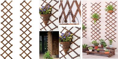 Expandable Wooden Lattice Plant Trellis (2-pack)
