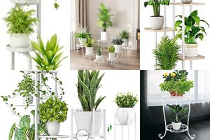 White Plant Stands