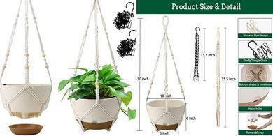 Self-Watering Hanging Planters (10", 2-Pack, Indoor/Outdoor)
