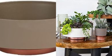 Artisan Taupe Capri Succulent Planter (6", Drainage)
