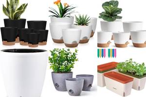 5 Best Self-Watering Planters for Easy Gardening