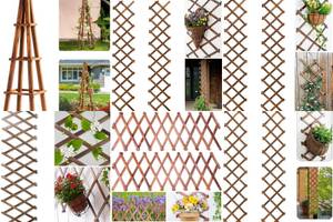 5 Stunning Wooden Garden Trellises for Your Garden