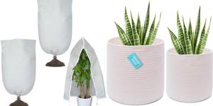 4 Stunning White Planter Covers to Transform Your Space