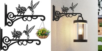 Heavy-duty metal plant hangers (2-pack, 10-inch) with hummingbird design.