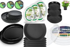 Top 5 Plant Saucers with Lip: Best for Protecting Your Floors