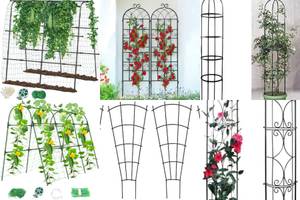 Top 5 Garden Trellises to Beautify Your Yard