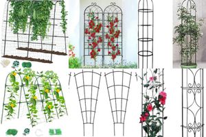 Garden Trellises