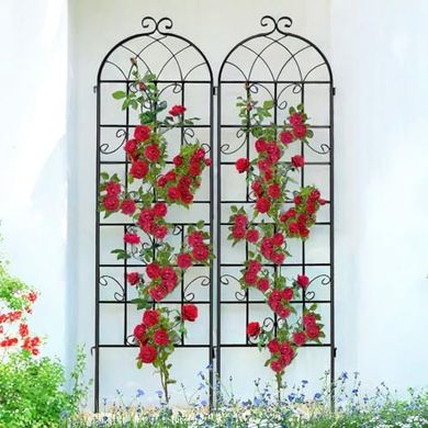 Black Metal Garden Trellis (71x19.7", 2-Pack, Rustproof, Easy Assembly)
