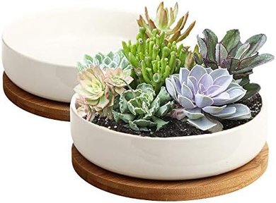ZOUTOG White Ceramic Succulent Planters with Bamboo Trays (2-pack)