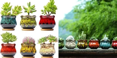 Ceramic Succulent Planters with Drainage: 6-Piece Set