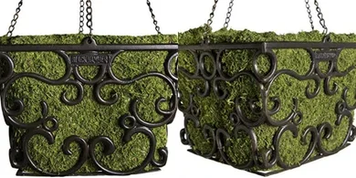 Black Hammer Macbeth Metal Plant Hanger with Moss Liner
