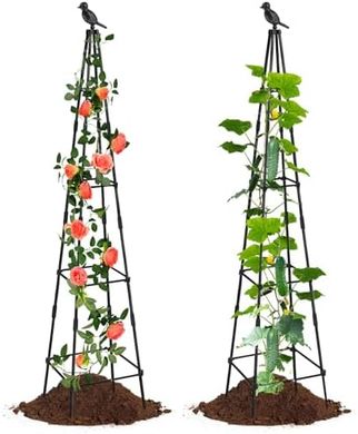 Adjustable Garden Obelisk Trellis: 65" Plant Support (2-Pack)
