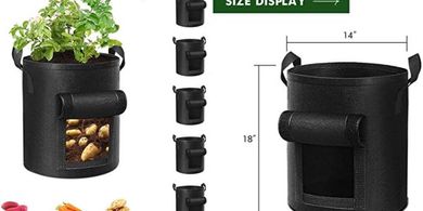 Heavy-duty 5-pack 10-gallon grow bags for vegetables and fruits.
