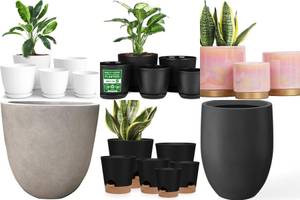 Top 5 Planters You Need