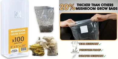 100 x 8"x5"x20" Heavy-Duty Mushroom Grow Bags with Filters