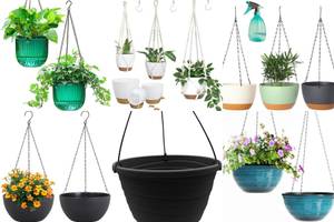 5 Stunning Hanging Basket Planters