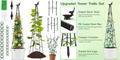 79" Rustproof Metal Garden Obelisk Trellis (2-Pack) for Climbing Plants
