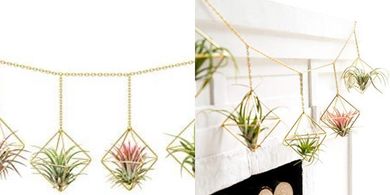 Dahey Gold Geometric Hanging Air Plant Holders (6-Piece Set)
