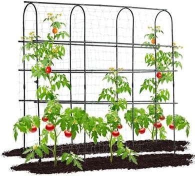 Metal Arch Trellis for Climbing Plants & Vegetables
