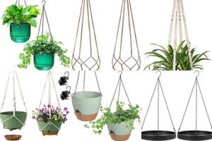 5 Best Hanging Planters for Your Ivy (and Other Plants!)