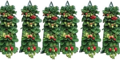 Hanging Strawberry & Tomato Planter Bags (3-Pack)
