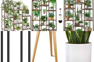 5 Stunning Wooden Plant Stands for Your Home