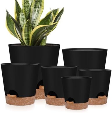 Black Self-Watering Planters (6 pots, 5.5-8 inch)