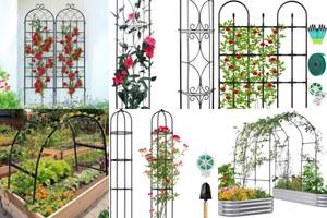 5 Stunning Oval Garden Trellises for Your Backyard Oasis