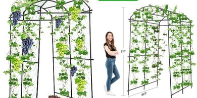 7ft Tall Garden Arch Trellis Tunnel for Climbing Plants & Raised Beds
