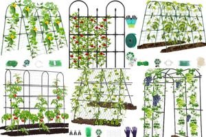 Raised Garden Trellises