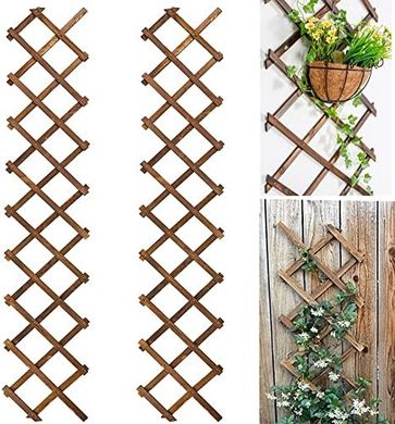 Natural Wooden Garden Trellis (75"x11.8", 2-pack)
