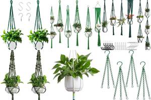 5 Gorgeous Green Plant Hangers