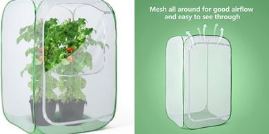 Pop-Up Plant Protection Cage (24" x 16" x 16")
